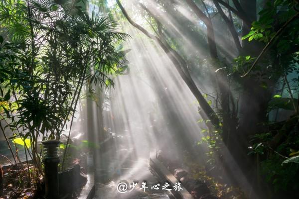《逆水寒》带萌新领飞剑分铜钱活动玩法介绍